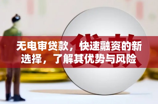贵定无电审贷款，快速融资的新选择，了解其优势与风险
