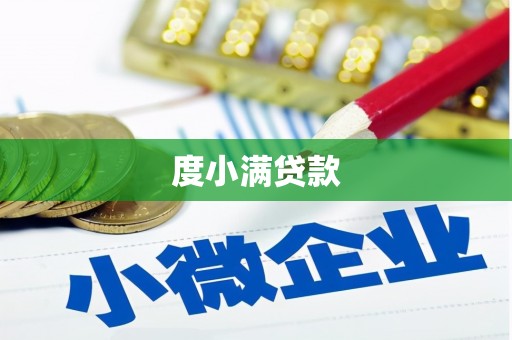 贵定度小满贷款