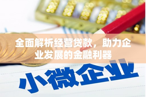 贵定全面解析经营贷款，助力企业发展的金融利器