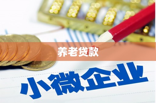 贵定养老贷款