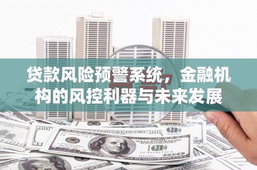 贵定贷款风险预警系统，金融机构的风控利器与未来发展