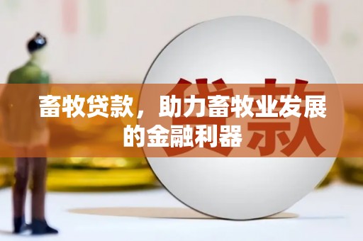 贵定畜牧贷款，助力畜牧业发展的金融利器