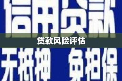 贵定贷款风险评估