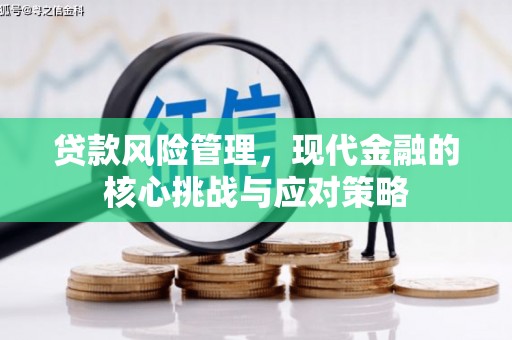 贵定贷款风险管理，现代金融的核心挑战与应对策略