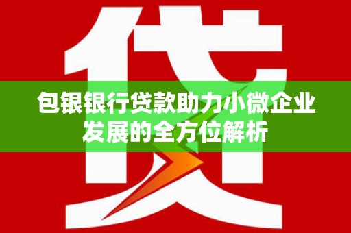 贵定包银银行贷款助力小微企业发展的全方位解析