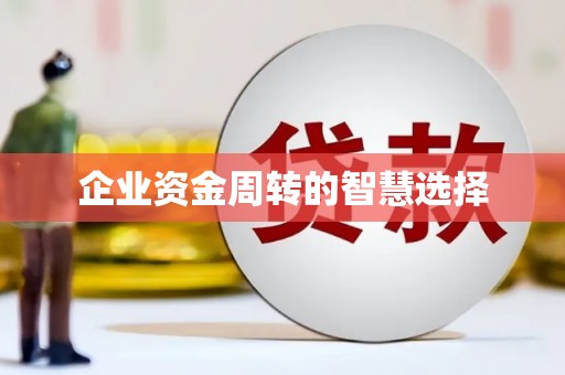 贵定企业资金周转的智慧选择