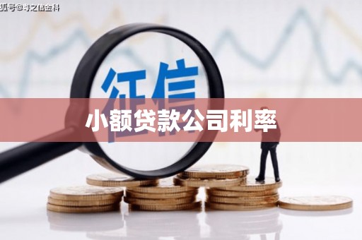 贵定小额贷款公司利率