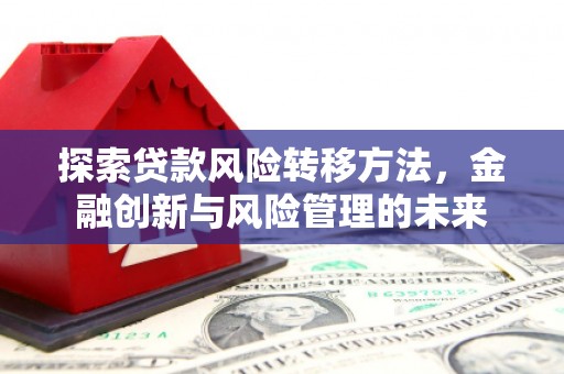 贵定探索贷款风险转移方法，金融创新与风险管理的未来