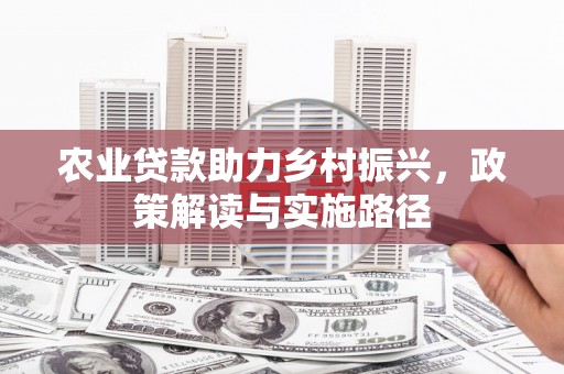 贵定农业贷款助力乡村振兴，政策解读与实施路径
