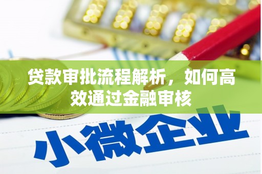 贵定贷款审批流程解析，如何高效通过金融审核