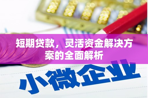 贵定短期贷款，灵活资金解决方案的全面解析