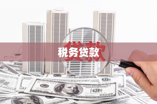 贵定税务贷款