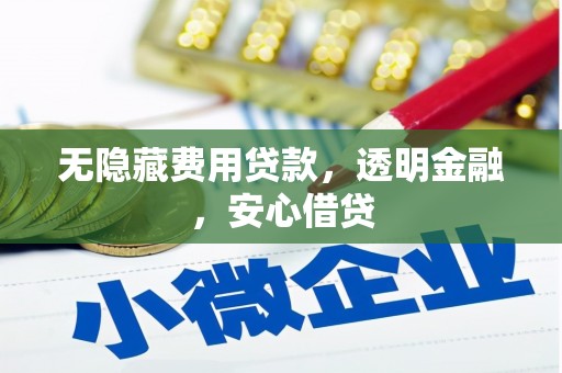贵定无隐藏费用贷款，透明金融，安心借贷