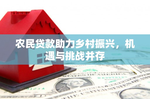 贵定农民贷款助力乡村振兴，机遇与挑战并存