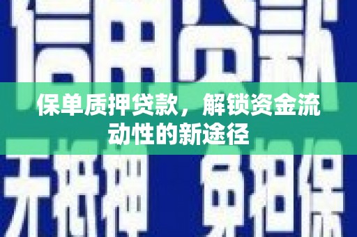 贵定保单质押贷款，解锁资金流动性的新途径