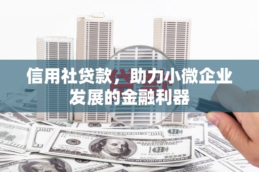 贵定信用社贷款，助力小微企业发展的金融利器