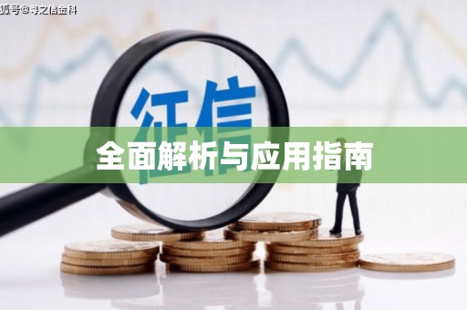 贵定全面解析与应用指南