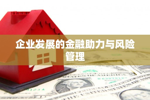 贵定企业发展的金融助力与风险管理