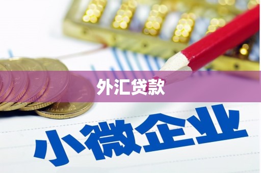 贵定外汇贷款