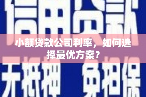 贵定小额贷款公司利率，如何选择最优方案？