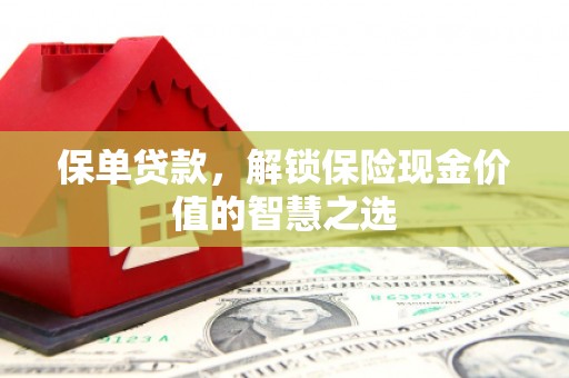 贵定保单贷款，解锁保险现金价值的智慧之选