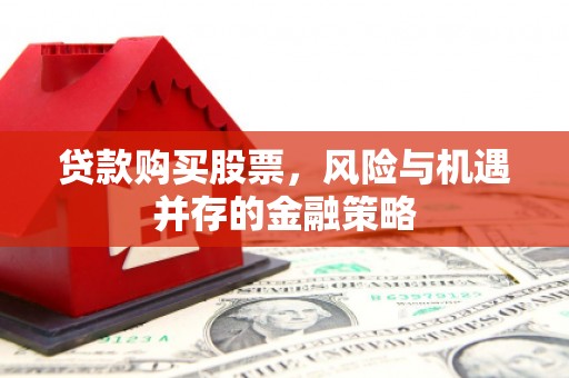 贵定贷款购买股票，风险与机遇并存的金融策略