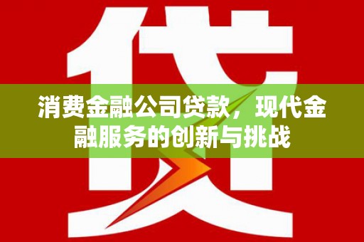 贵定消费金融公司贷款，现代金融服务的创新与挑战