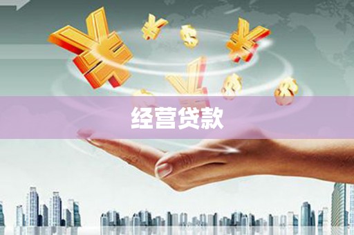 贵定经营贷款