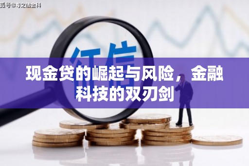 贵定现金贷的崛起与风险，金融科技的双刃剑