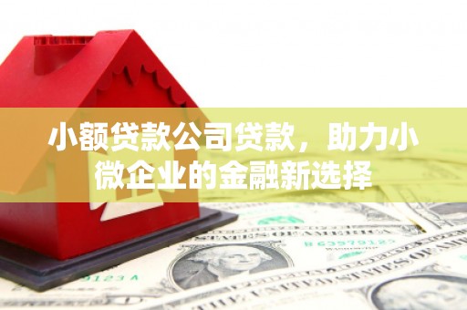 贵定小额贷款公司贷款，助力小微企业的金融新选择