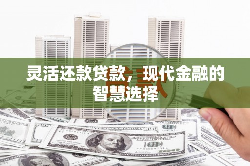 贵定灵活还款贷款，现代金融的智慧选择