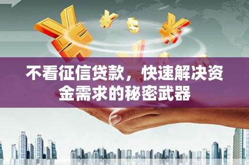 贵定不看征信贷款，快速解决资金需求的秘密武器