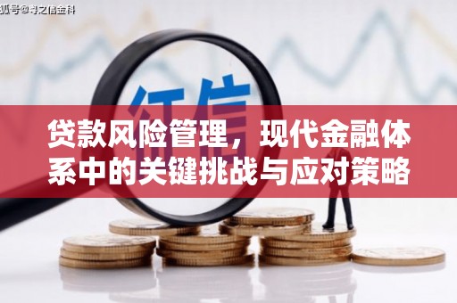 贵定贷款风险管理，现代金融体系中的关键挑战与应对策略