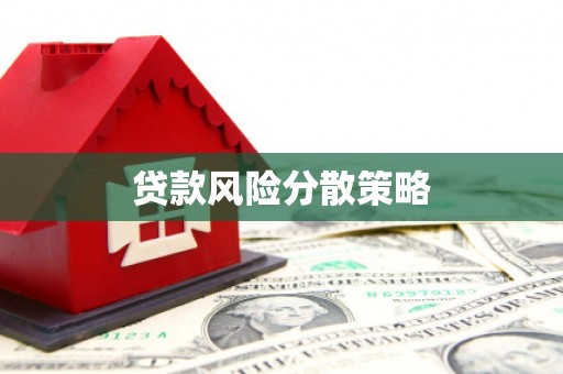贵定贷款风险分散策略