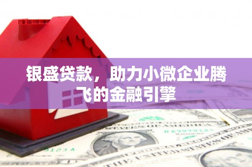 贵定银盛贷款，助力小微企业腾飞的金融引擎