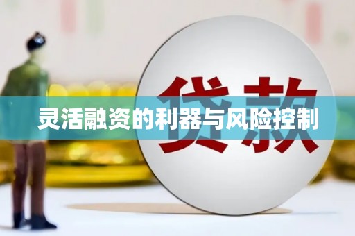 贵定灵活融资的利器与风险控制