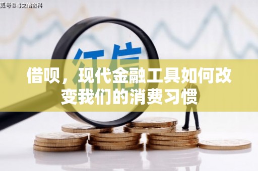 贵定借呗，现代金融工具如何改变我们的消费习惯