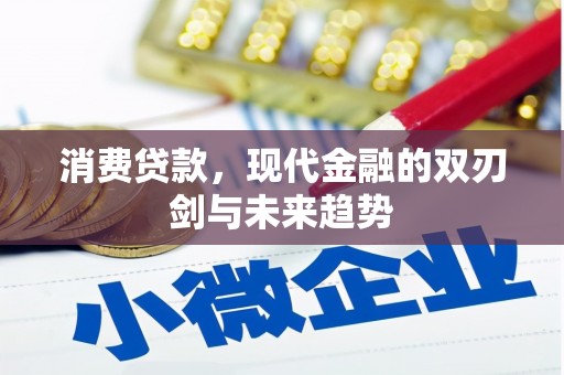 贵定消费贷款，现代金融的双刃剑与未来趋势
