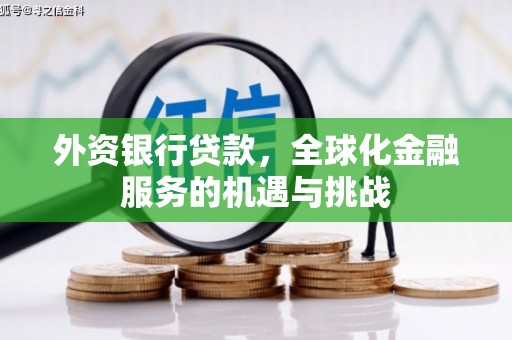 贵定外资银行贷款，全球化金融服务的机遇与挑战