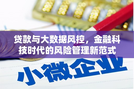 贵定贷款与大数据风控，金融科技时代的风险管理新范式