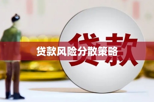 贵定贷款风险分散策略