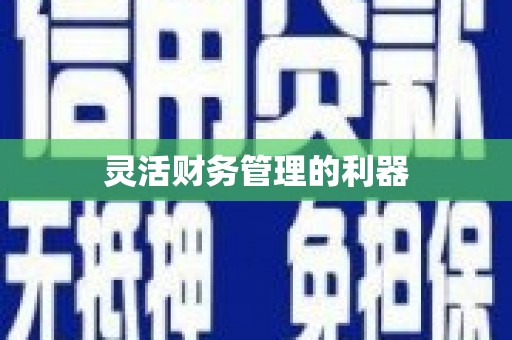 贵定灵活财务管理的利器