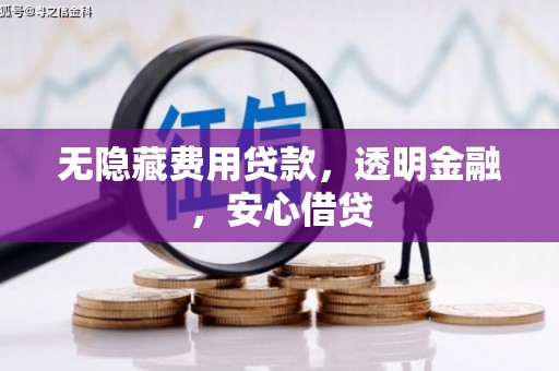 贵定无隐藏费用贷款，透明金融，安心借贷