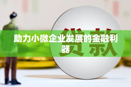 贵定助力小微企业发展的金融利器