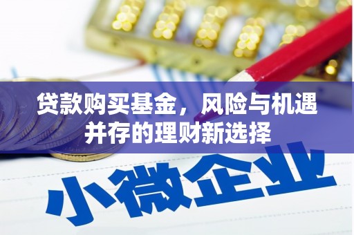 贵定贷款购买基金，风险与机遇并存的理财新选择