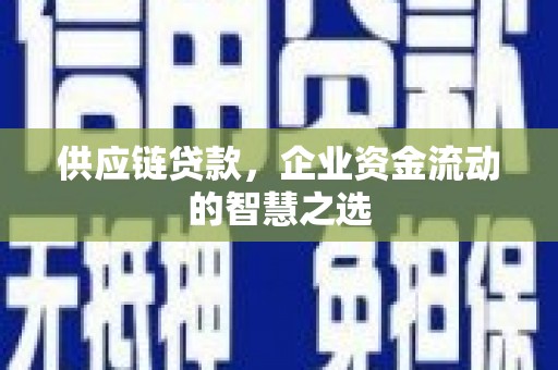 贵定供应链贷款，企业资金流动的智慧之选