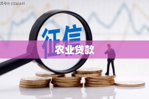 贵定农业贷款
