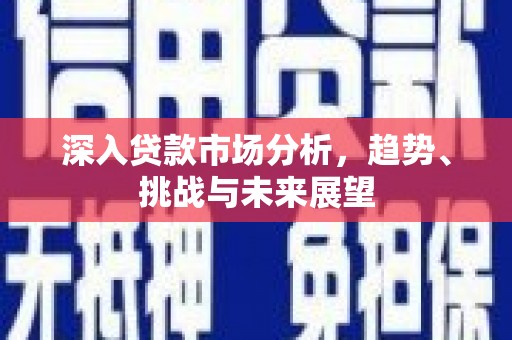 贵定深入贷款市场分析，趋势、挑战与未来展望
