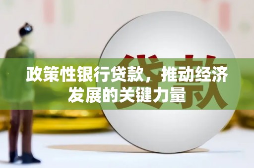 贵定政策性银行贷款，推动经济发展的关键力量