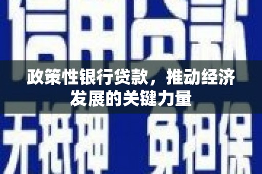 贵定政策性银行贷款，推动经济发展的关键力量